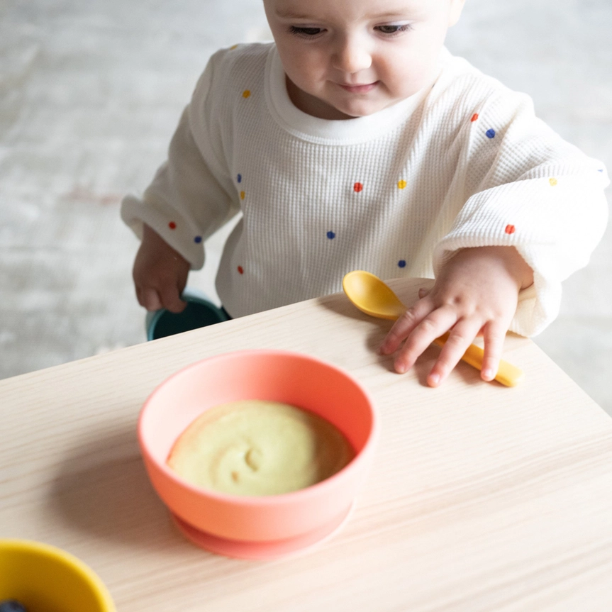 Bambino Silikon-Saugschale - 2er-Pack Koralle / Mimose